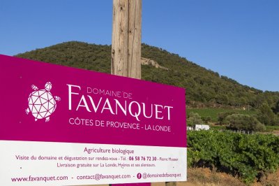Domaine de Favanquet – Une soirée dégustation au crépuscule au cœur des vignes