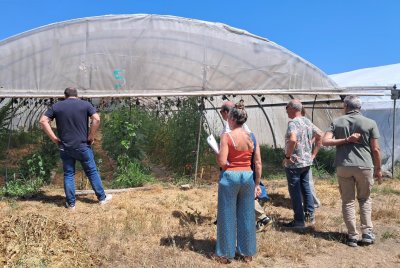 Levens s’inspire de l’exemple de Mouans-Sartoux pour son projet de ferme (…)