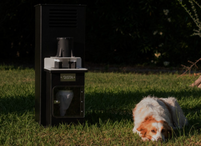 Chikungunya Prevention in La Reunion: Qista's Fight Against the Disease - News Directory 3