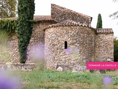Art & Vin invite à une métamorphose des sens au cœur des vignobles