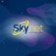 Skynet expertise et conseil