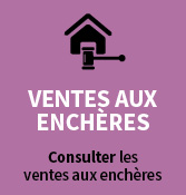 Ventes aux enchères